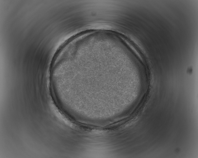 X0000116630840200912312158
