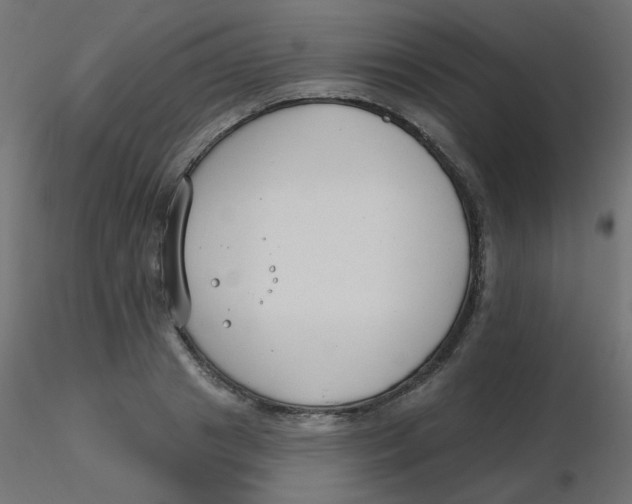 X0000116630841200912312158