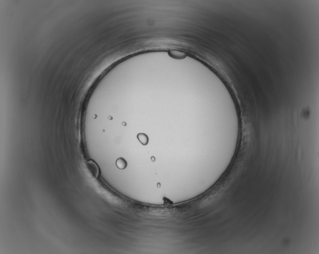X0000116630843200912312158