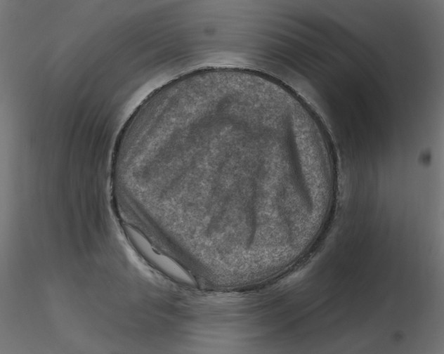 X0000116630845200912312158