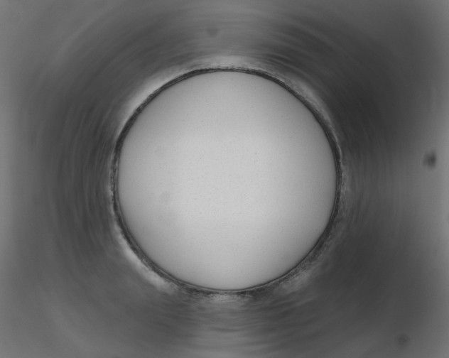 X0000116630847200912312158