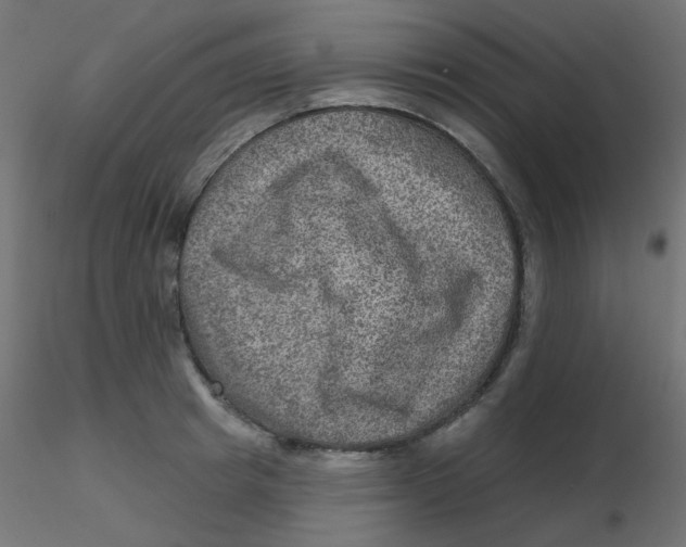 X0000116630849200912312158