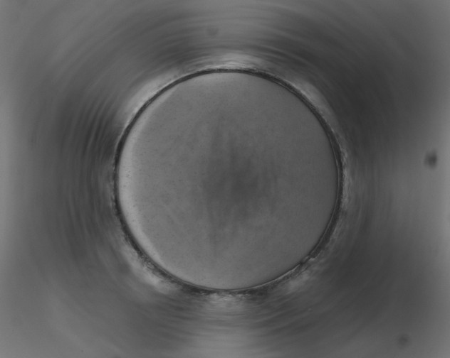 X0000116630850200912312158