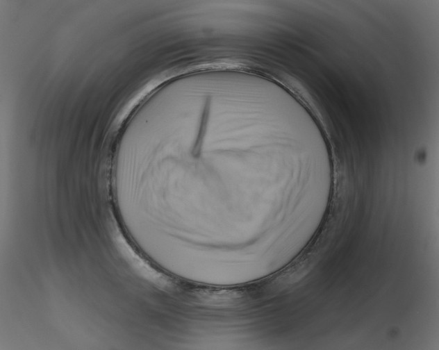 X0000116630851200912312158