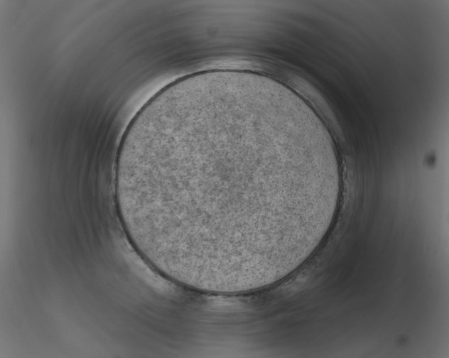 X0000116630852200912312158