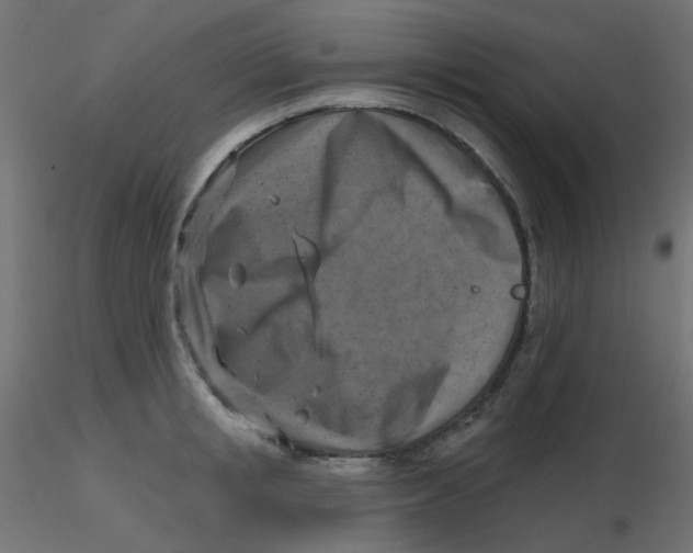 X0000116630853200912312158