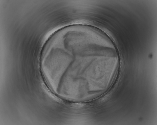 X0000116630854200912312158