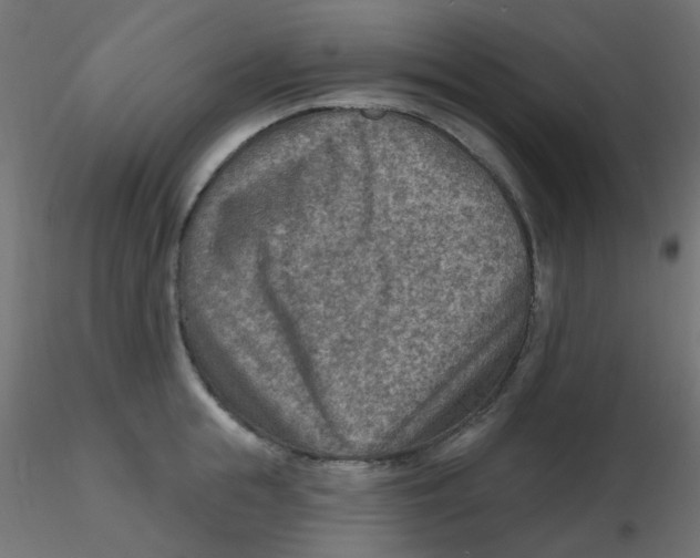 X0000116630855200912312158