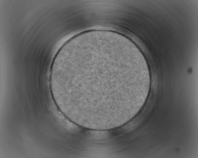 X0000116630856200912312158