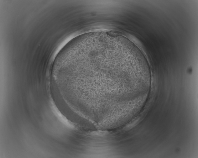 X0000116630859200912312158
