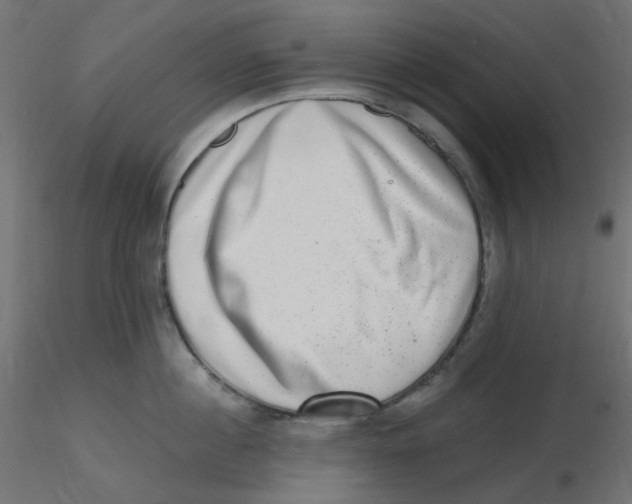 X0000116630860200912312158
