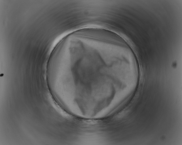 X0000116630862200912312158