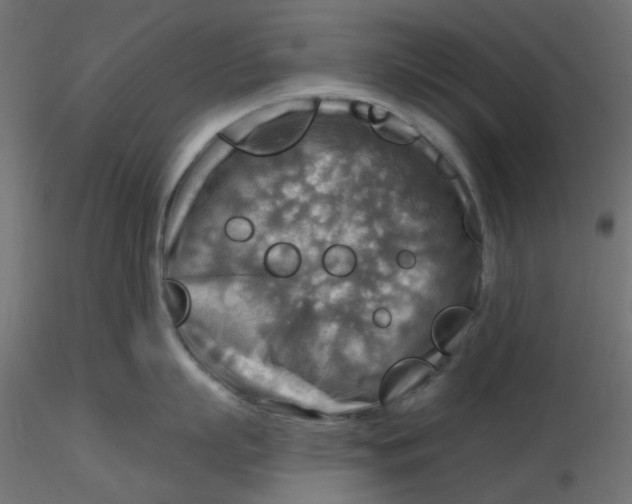 X0000116630863200912312158