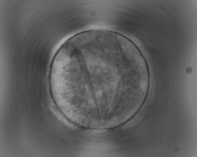 X0000116630864200912312158