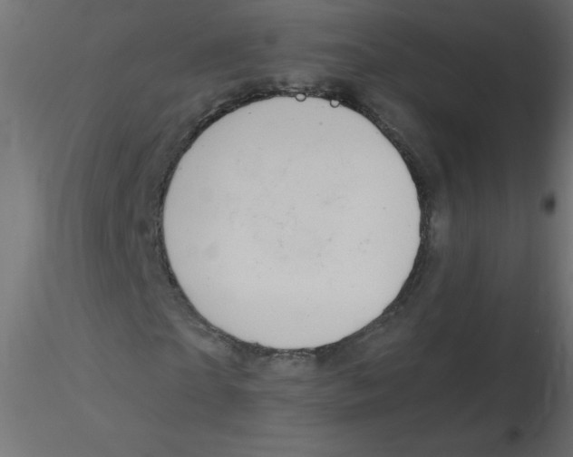 X0000116630865200912312158