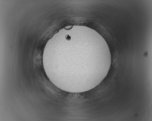 X0000116630866200912312158