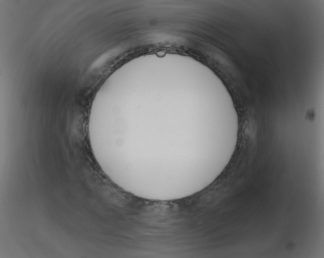X0000116630869200912312157