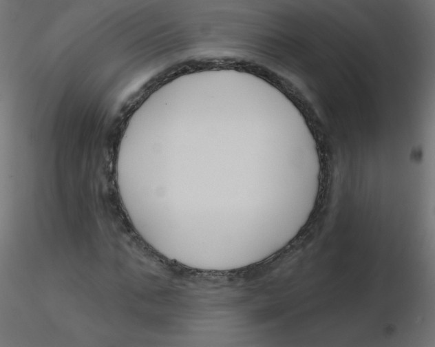 X0000116630871200912312157