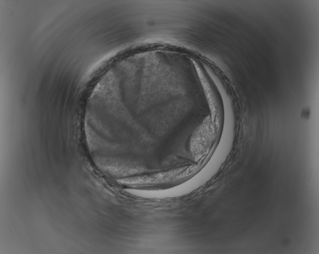 X0000116630872200912312157