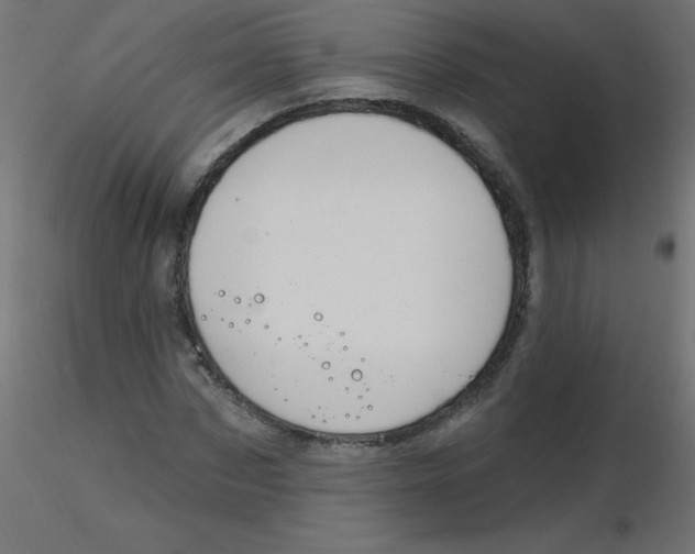 X0000116630873200912312157