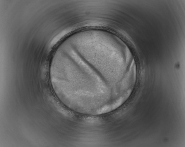 X0000116630874200912312157