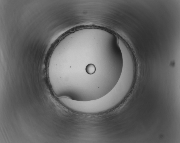 X0000116630876200912312157