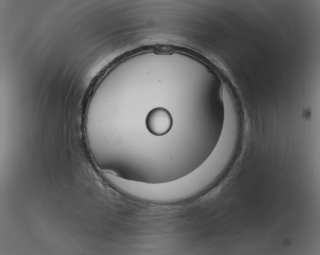 X0000116630877200912312157