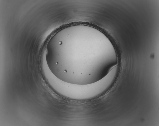 X0000116630878200912312157