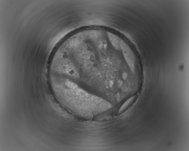 X0000116630879200912312157