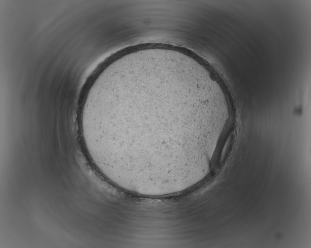 X0000116630880200912312157