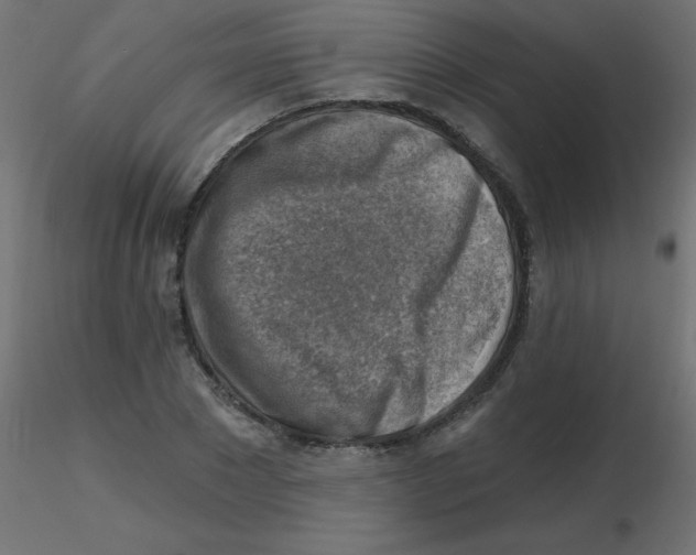 X0000116630881200912312157
