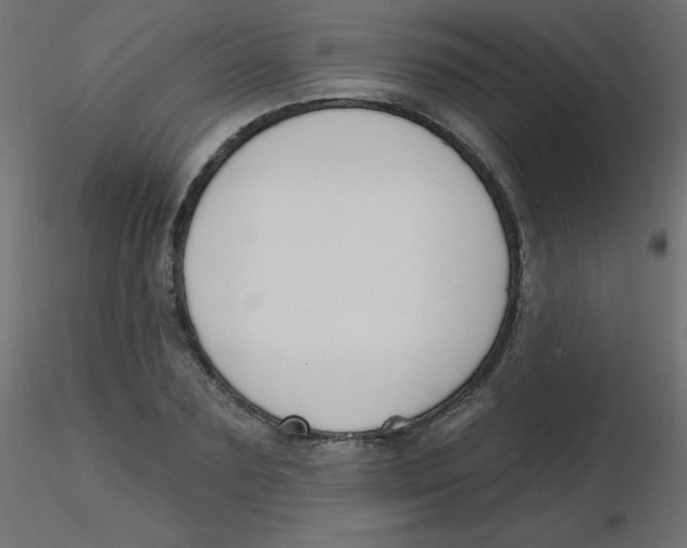 X0000116630883200912312157