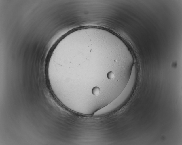 X0000116630884200912312157