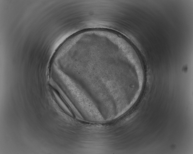 X0000116630885200912312157