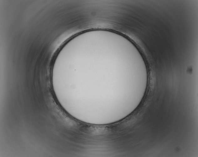 X0000116630886200912312157