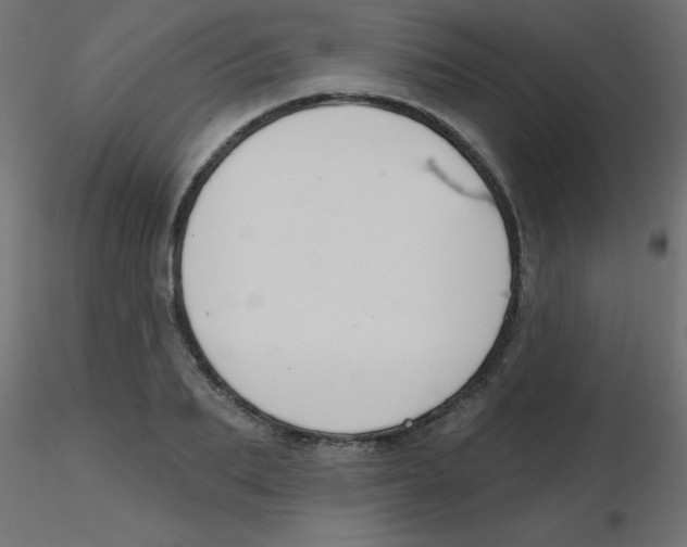 X0000116630887200912312157