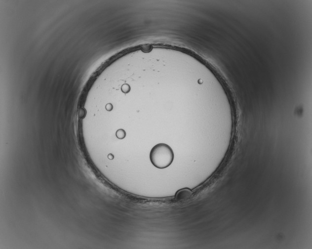 X0000116630888200912312157