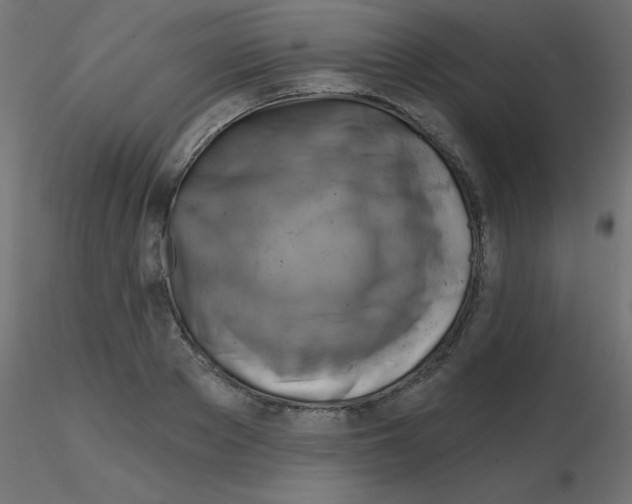 X0000116630889200912312157