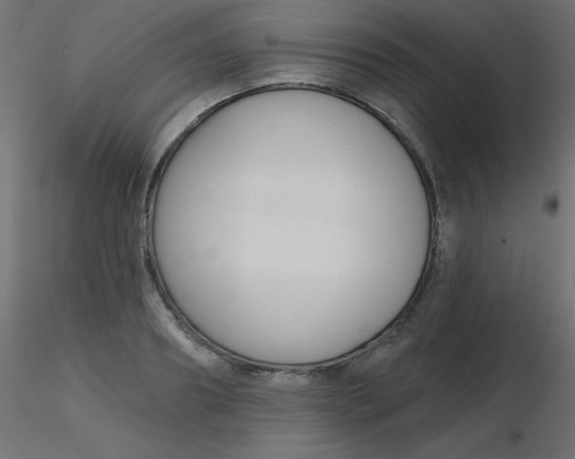 X0000116630890200912312157