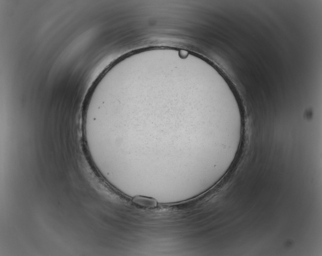 X0000116630891200912312157