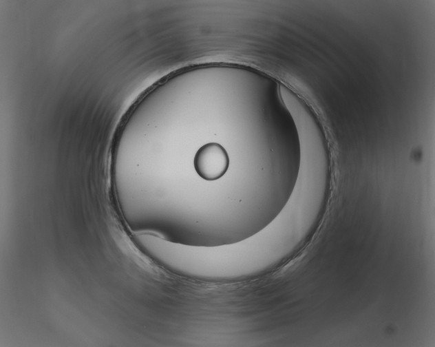 X0000116630892200912312157