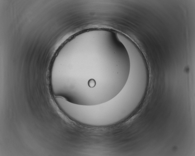 X0000116630893200912312157