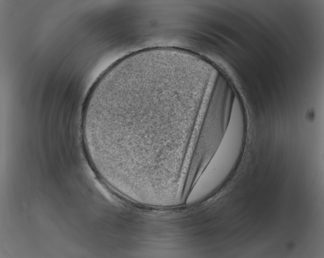 X0000116630894200912312157