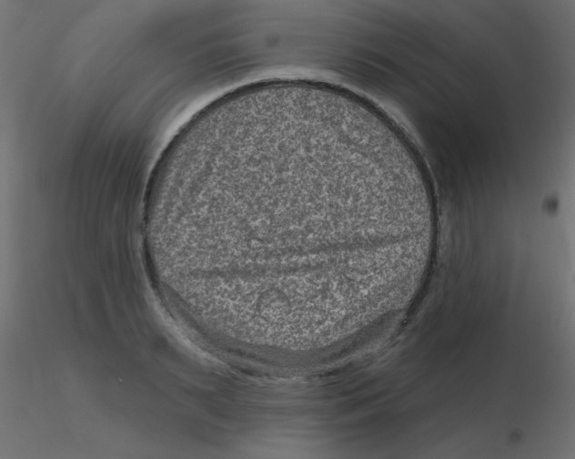 X0000116630895200912312157