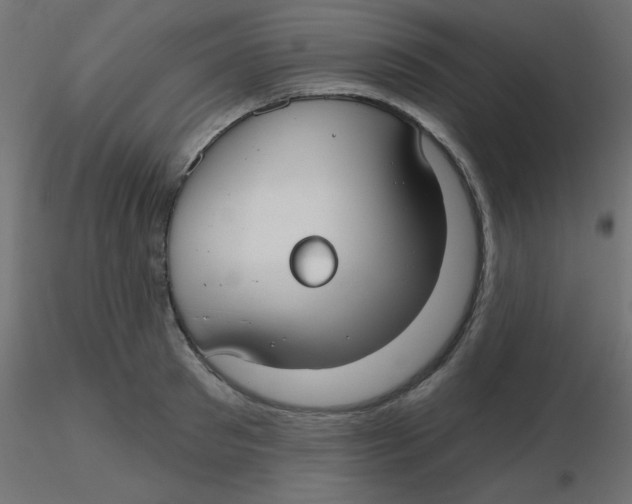 X0000116630897200912312157