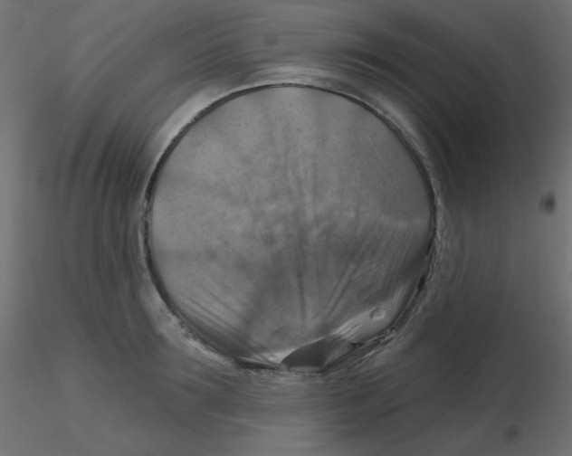 X0000116630899200912312157