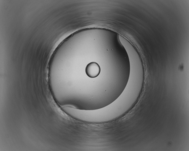X0000116630900200912312157