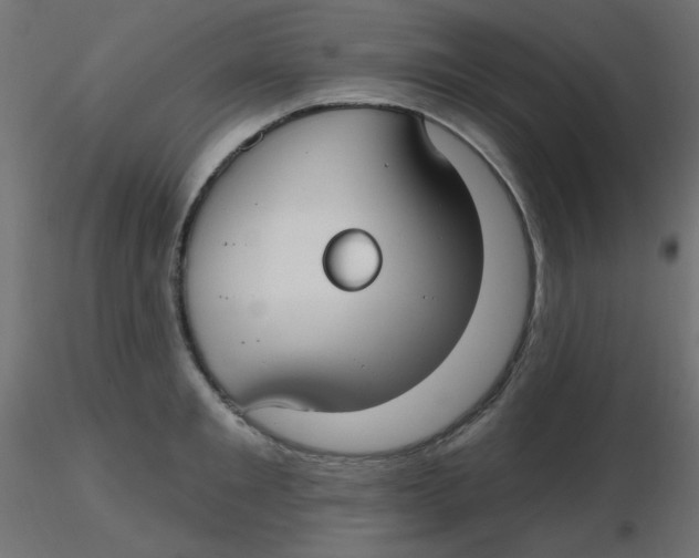 X0000116630901200912312157