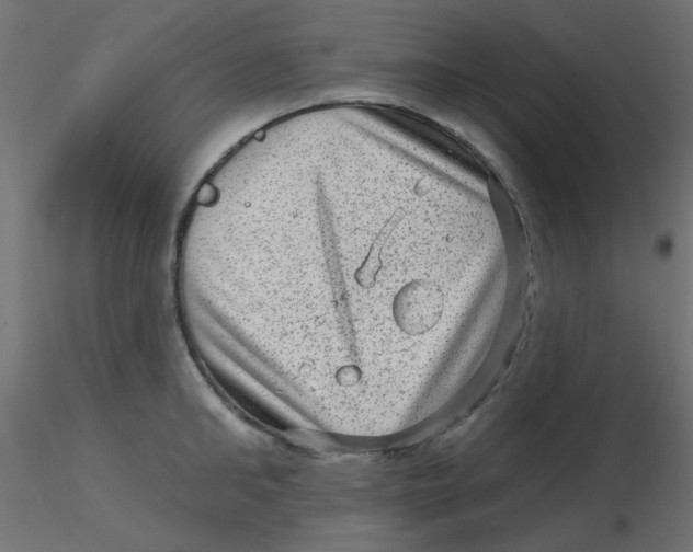 X0000116630902200912312157