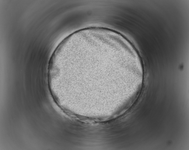 X0000116630903200912312157